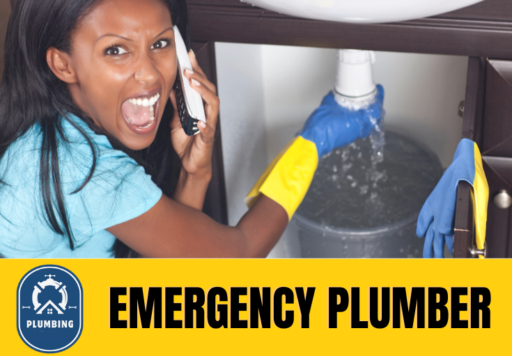 emergency plumber Sheerness