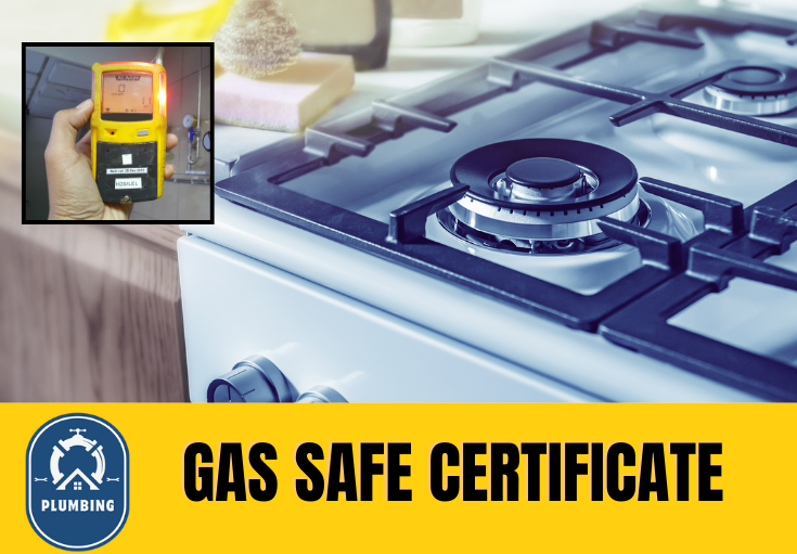 gas safe certificate Sheerness
